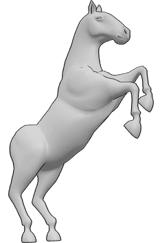 Referencia de poses- Postura de pie con las patas traseras - Caballo está de pie sobre sus patas traseras y mirando hacia adelante, caballo de dibujo de referencia