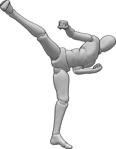 Pose Reference- Martial arts poses